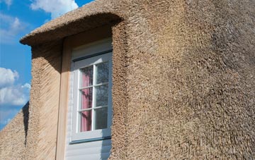 Yarsop thatch roof disadvantages